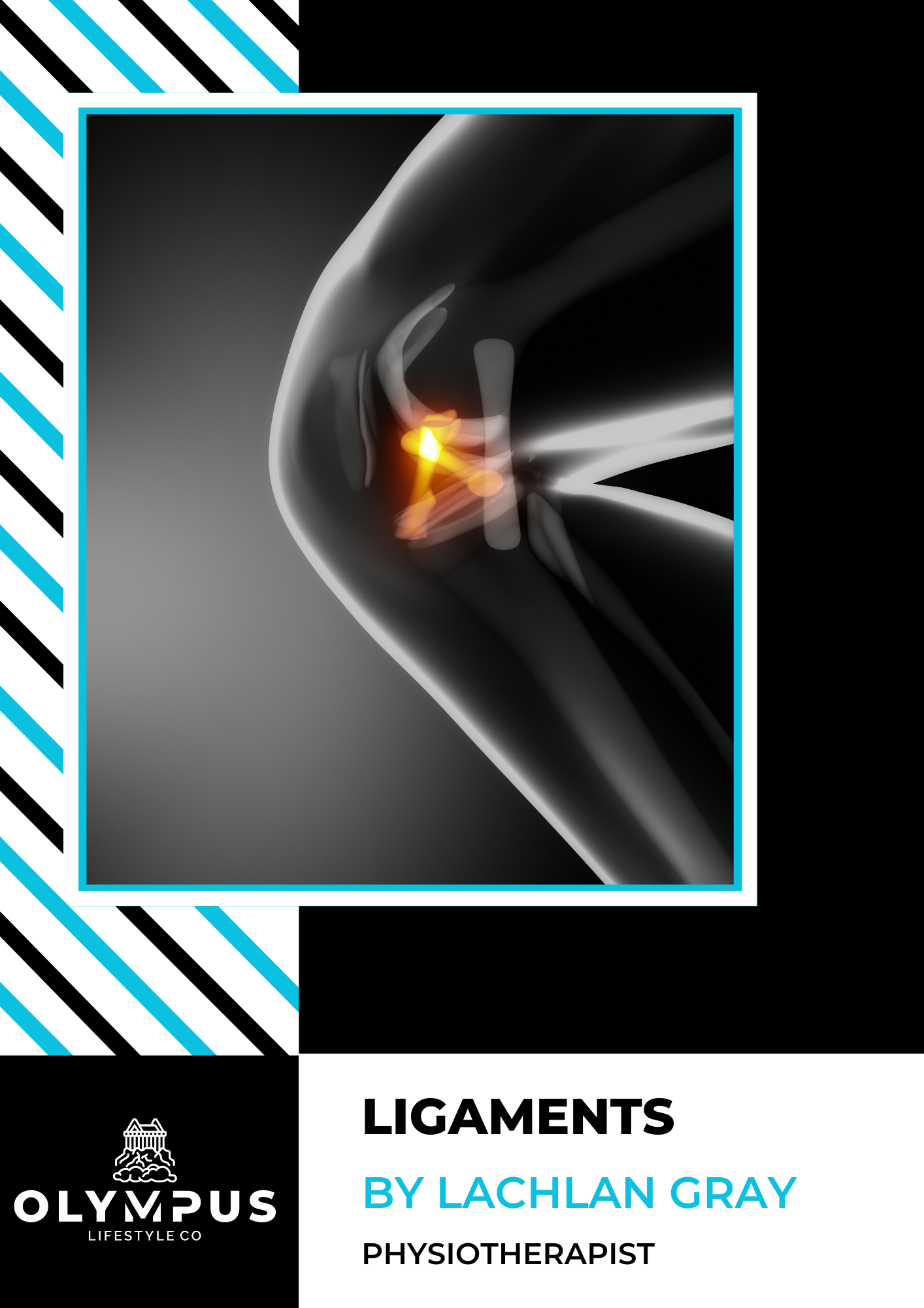 Anatomy E-Book Series: Ligaments