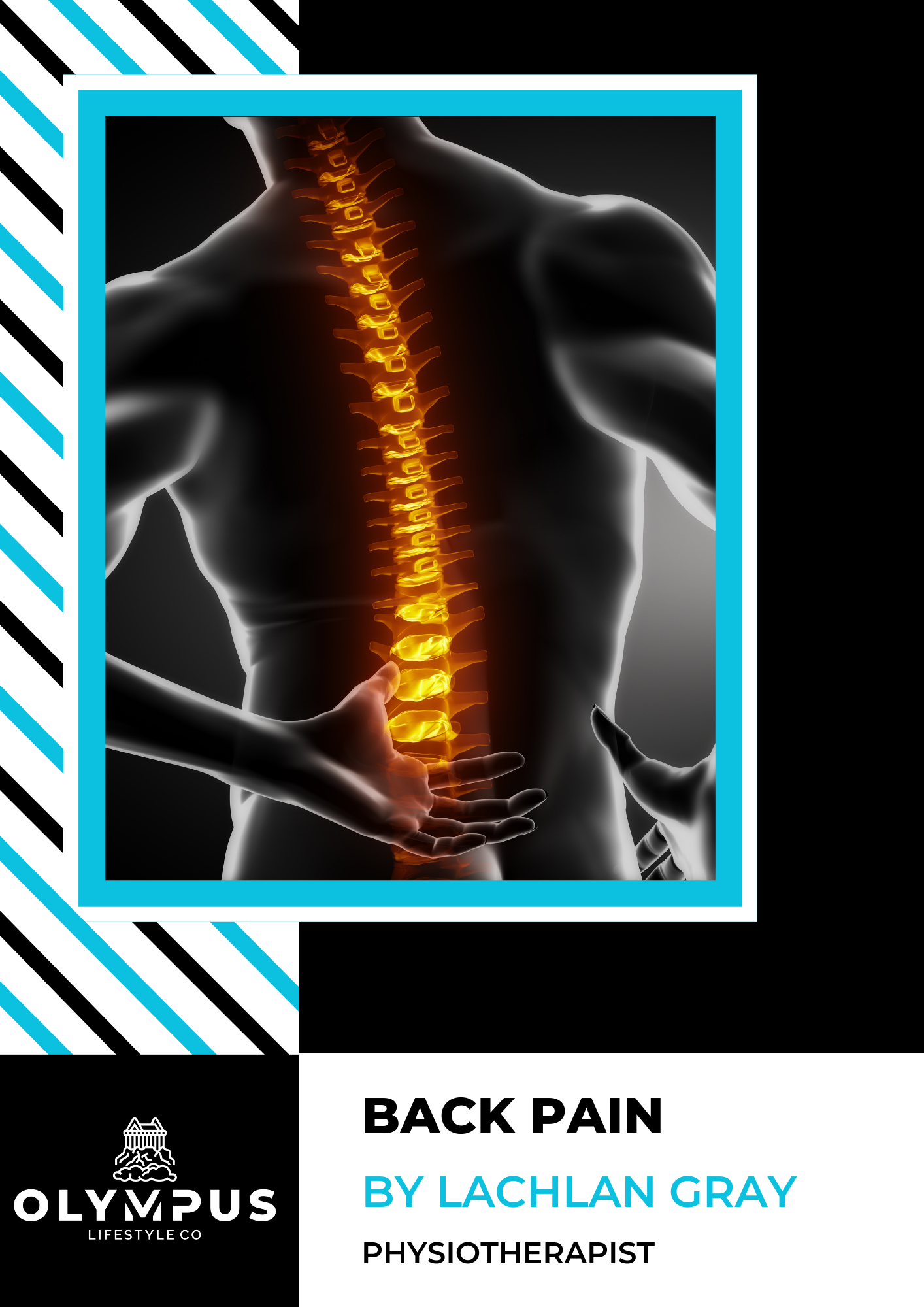 Clinical E-Book Series: Back Pain