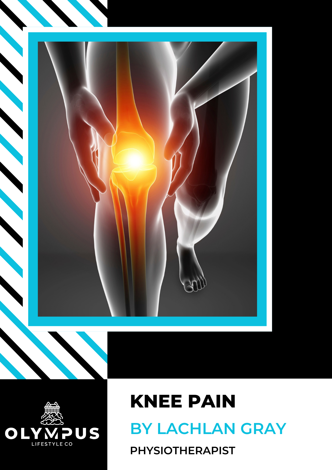 Clinical E-Book Series: Knee Pain