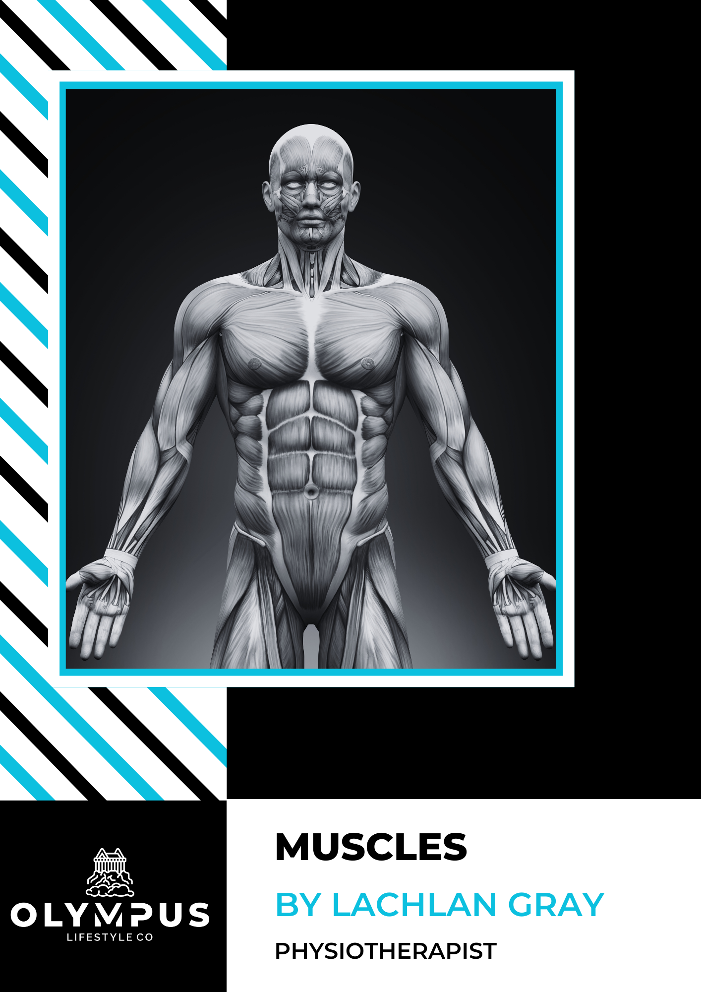 Anatomy E-Book Series: Muscles