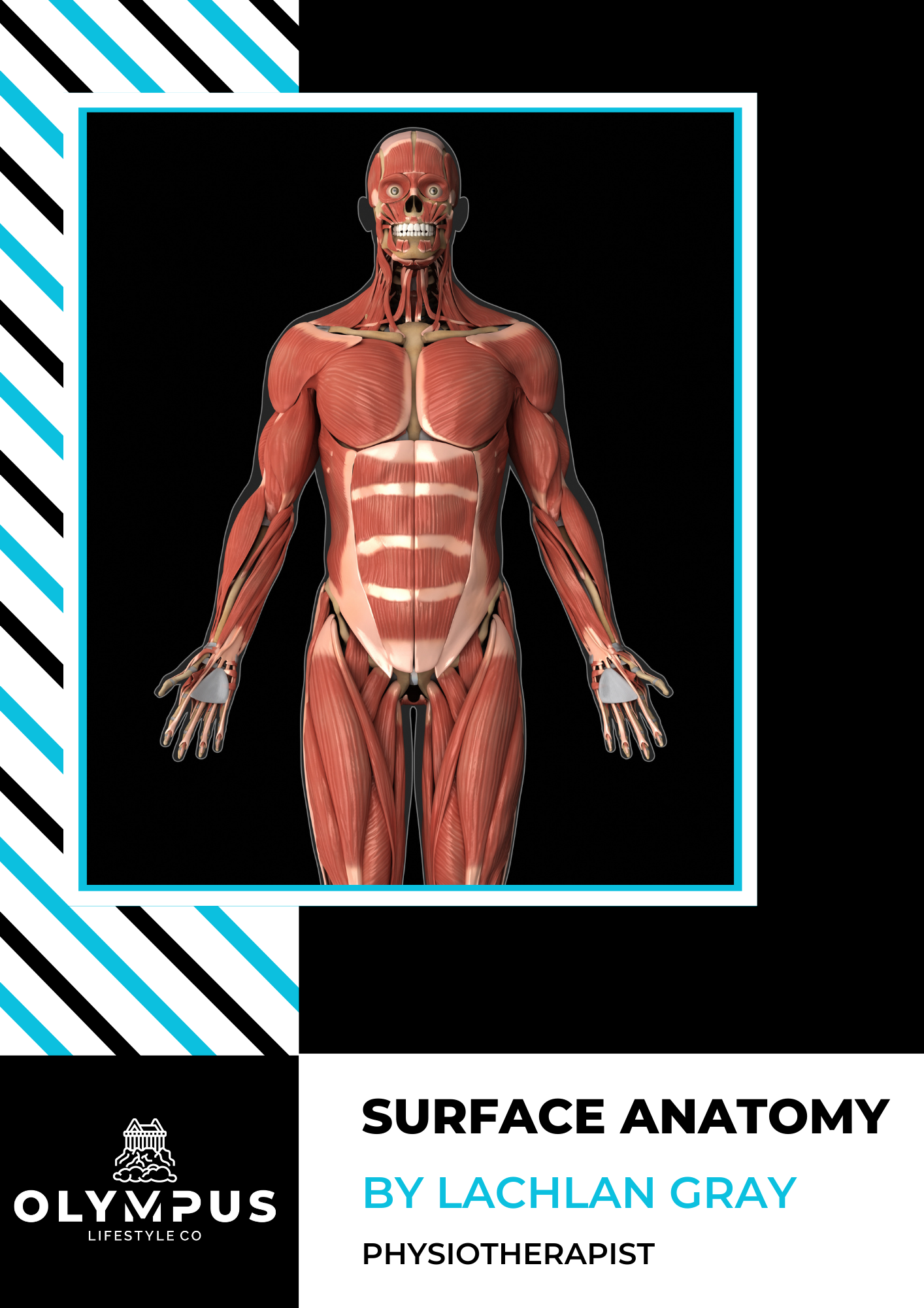 Anatomy E-Book Series: Surface Anatomy